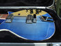Rickenbacker 660/12 , Blueburst: Free image