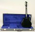 Rickenbacker 320/6 , Jetglo: Full Instrument - Rear