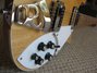 Rickenbacker 620/12 , Mapleglo: Close up - Free2