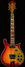 Rickenbacker 660/12 , Fireglo: Full Instrument - Front