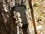 Rickenbacker 660/12 , Jetglo: Headstock - Rear