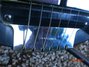 Rickenbacker B Post War/6 LapSteel, Black: Close up - Free2