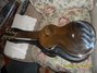 Rickenbacker NS 100/6 LapSteel, Silver: Full Instrument - Rear