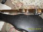 Rickenbacker NS 100/6 LapSteel, Silver: Close up - Free2