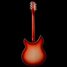 Rickenbacker 360/12 C63, Fireglo: Full Instrument - Rear