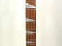 Rickenbacker 620/12 , Mapleglo: Neck - Front