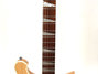 Rickenbacker 620/6 , Mapleglo: Neck - Front