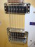 Rickenbacker 360/12 , Mapleglo: Free image