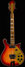 Rickenbacker 660/12 , Fireglo: Full Instrument - Front