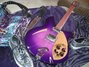 Rickenbacker 330/6 Refin, Purpleburst: Free image2