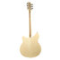 Rickenbacker 360/6 , Mapleglo: Full Instrument - Rear