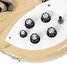 Rickenbacker 360/6 , Mapleglo: Close up - Free