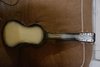 Rickenbacker 59/6 LapSteel, Gray: Full Instrument - Rear