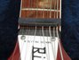 Rickenbacker 360/12 , Fireglo: Free image