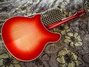 Rickenbacker 365/6 , Fireglo: Full Instrument - Rear