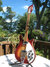Rickenbacker 620/6 , Fireglo: Free image