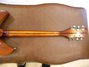 Rickenbacker 330/6 , Walnut: Neck - Rear