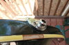 Rickenbacker 370/6 , Jetglo: Free image
