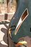 Rickenbacker 370/6 , Jetglo: Close up - Free2