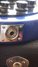Rickenbacker 330/6 BH BT, Midnightblue: Close up - Free
