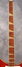 Rickenbacker 4001/4 Deluxe, Fireglo: Neck - Front