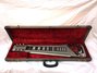 Rickenbacker 100/6 LapSteel, Silver: Free image