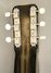 Rickenbacker 59/6 LapSteel, Gray: Headstock - Rear