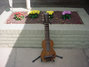 Rickenbacker SD/6 Mod, Brown: Neck - Front