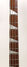 Rickenbacker 4003/4 , Jetglo: Neck - Front