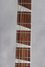 Rickenbacker 381/12 V69, Fireglo: Neck - Front