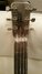 Rickenbacker NS 100/6 LapSteel, Silver: Headstock - Rear