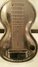 Rickenbacker NS 100/6 LapSteel, Silver: Body - Front