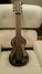 Rickenbacker NS 100/6 LapSteel, Silver: Full Instrument - Front