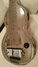 Rickenbacker NS 100/6 LapSteel, Silver: Close up - Free2