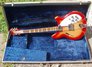 Rickenbacker 360/12 , Fireglo: Full Instrument - Front
