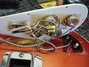 Rickenbacker 4001/4 , Fireglo: Close up - Free2