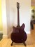 Rickenbacker 360/6 , Eggplant: Full Instrument - Rear