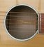 Rickenbacker 700/6 Comstock, Natural Maple: Free image