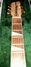 Rickenbacker 700/6 Comstock, Natural Maple: Neck - Front