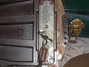 Rickenbacker Academy/6 LapSteel, Brown: Free image