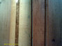 Rickenbacker 4001/4 , Mapleglo: Neck - Rear