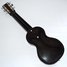 Rickenbacker B/6 LapSteel, Black: Full Instrument - Rear