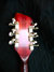 Rickenbacker 330/6 , Fireglo: Headstock - Rear