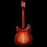 Rickenbacker 381/6 V69, Fireglo: Full Instrument - Rear