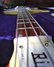 Rickenbacker 4001/4 CS, Cream: Close up - Free2