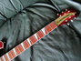 Rickenbacker 660/6 , Fireglo: Neck - Front