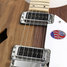Rickenbacker 330/6 , Natural Walnut: Free image