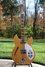 Rickenbacker 360/12 O.S., Natural: Free image
