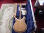 Rickenbacker 381/12 V69, Mapleglo: Full Instrument - Rear
