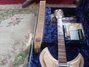 Rickenbacker 381/12 V69, Mapleglo: Neck - Front
